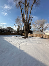 FILI Tree Expert & Landscaping LLC Image