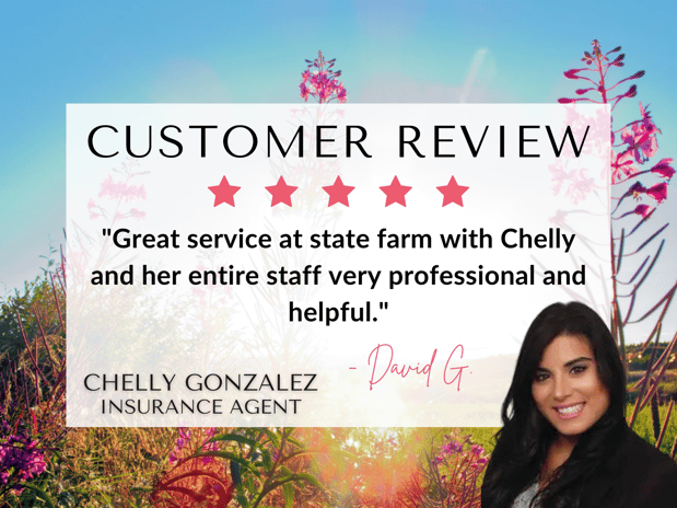 Images Chelly Gonzalez - State Farm Insurance Agent