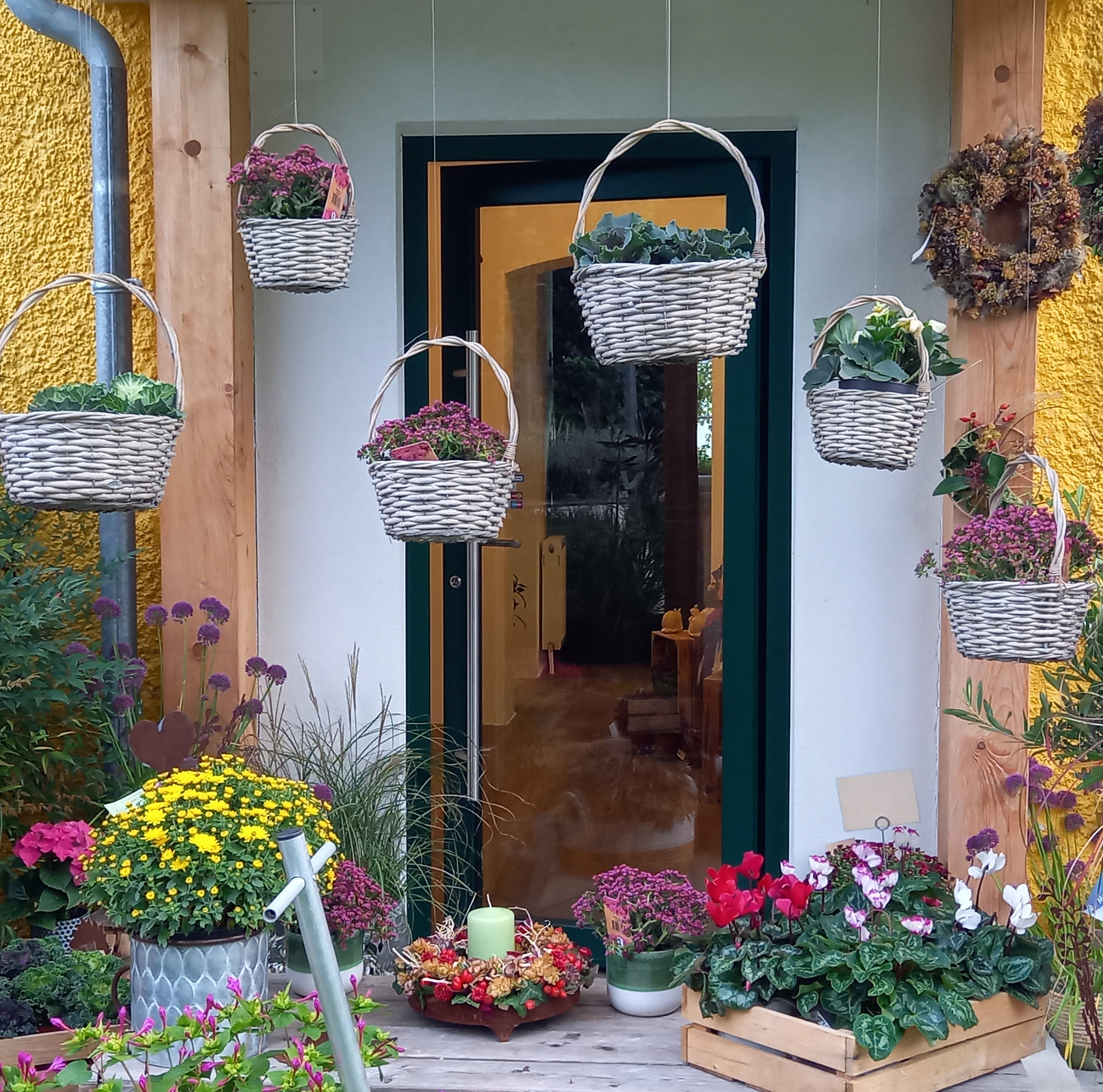 Bild 33 von Grün-Zone