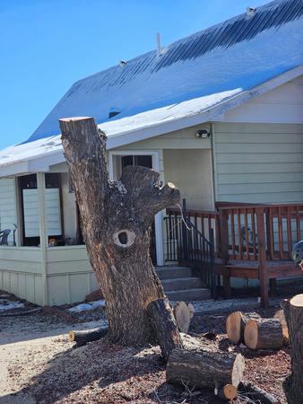 Images H & S Tree Care