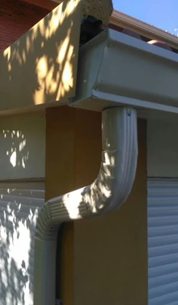 Images Canalones Diez Jose