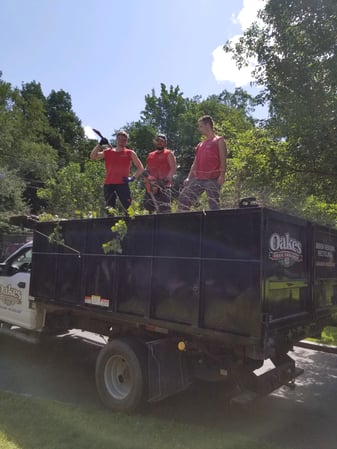 Images Oakes Tree Service & Rubish Removal