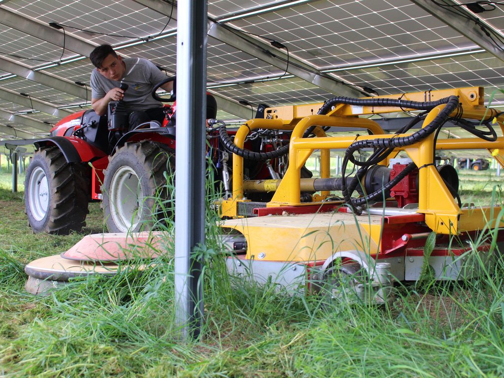 Bilder SLP Kraus GmbH | Photovoltaikflächen-Management & Grünpflege