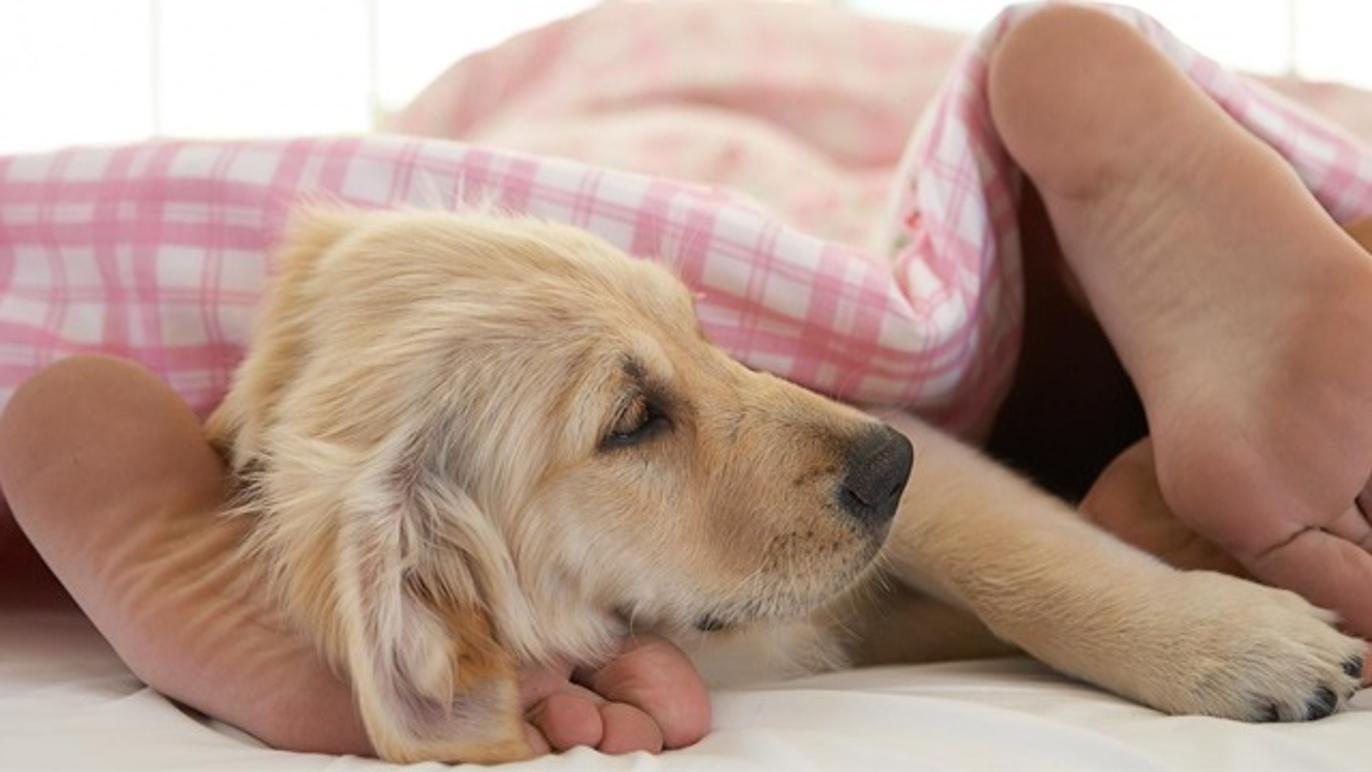 Images Bovida Fastighetsbyrå KB