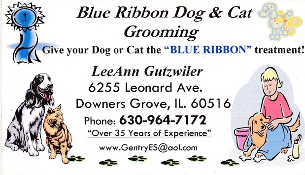 Images Blue Ribbon Dog & Cat Grooming
