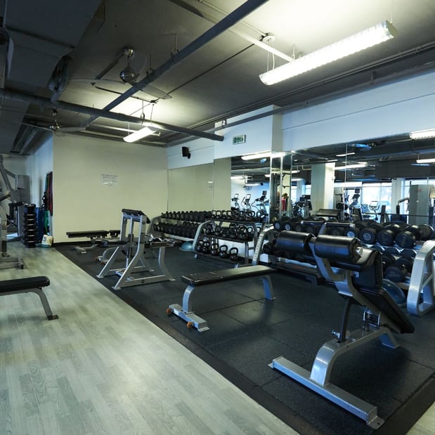 Images Trophy Fitness Mockingbird