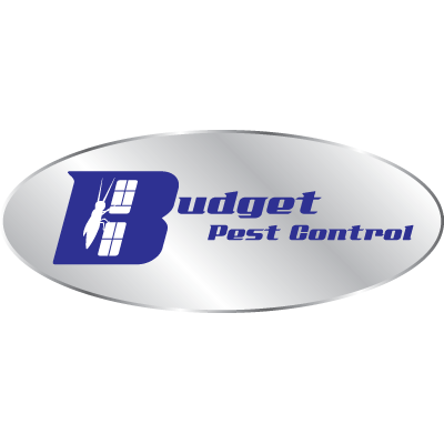 Budget Pest Control Best In the Pest