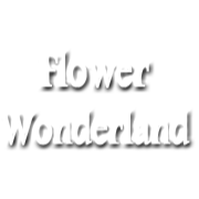 Flower Wonderland