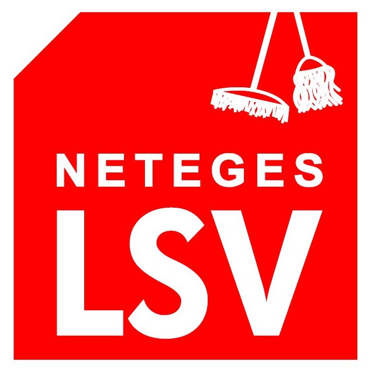 Neteges Lsv Logo