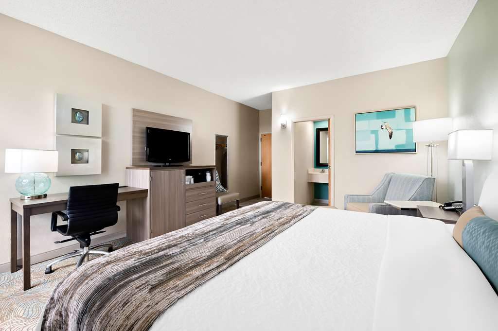 King Guest Room