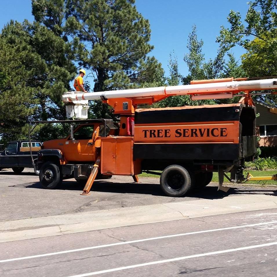 A Better Tree Service