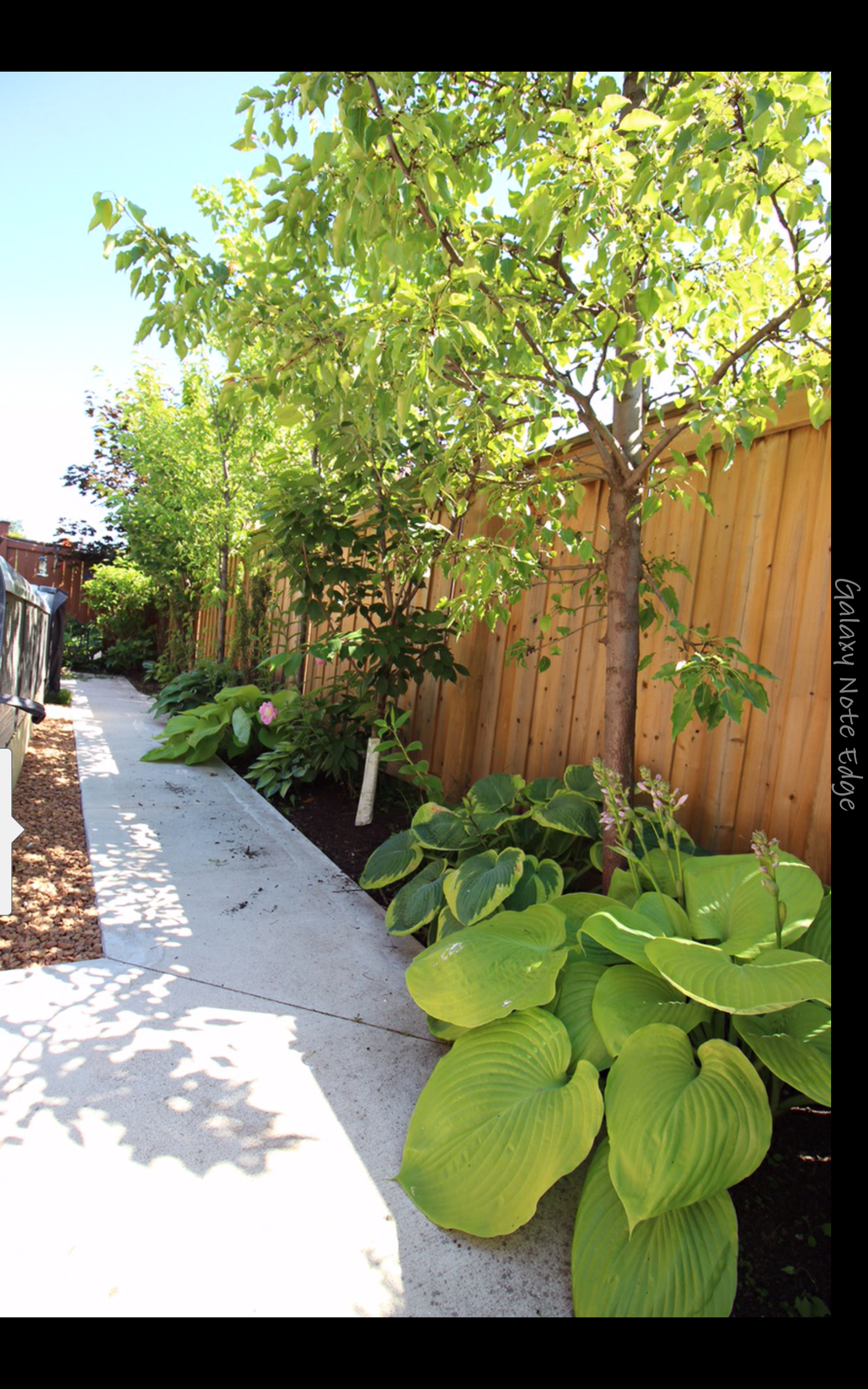 Images Total Concrete Solutions and Excavation