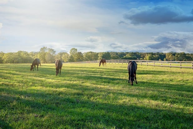 Images Toll Brothers at Woodburn
