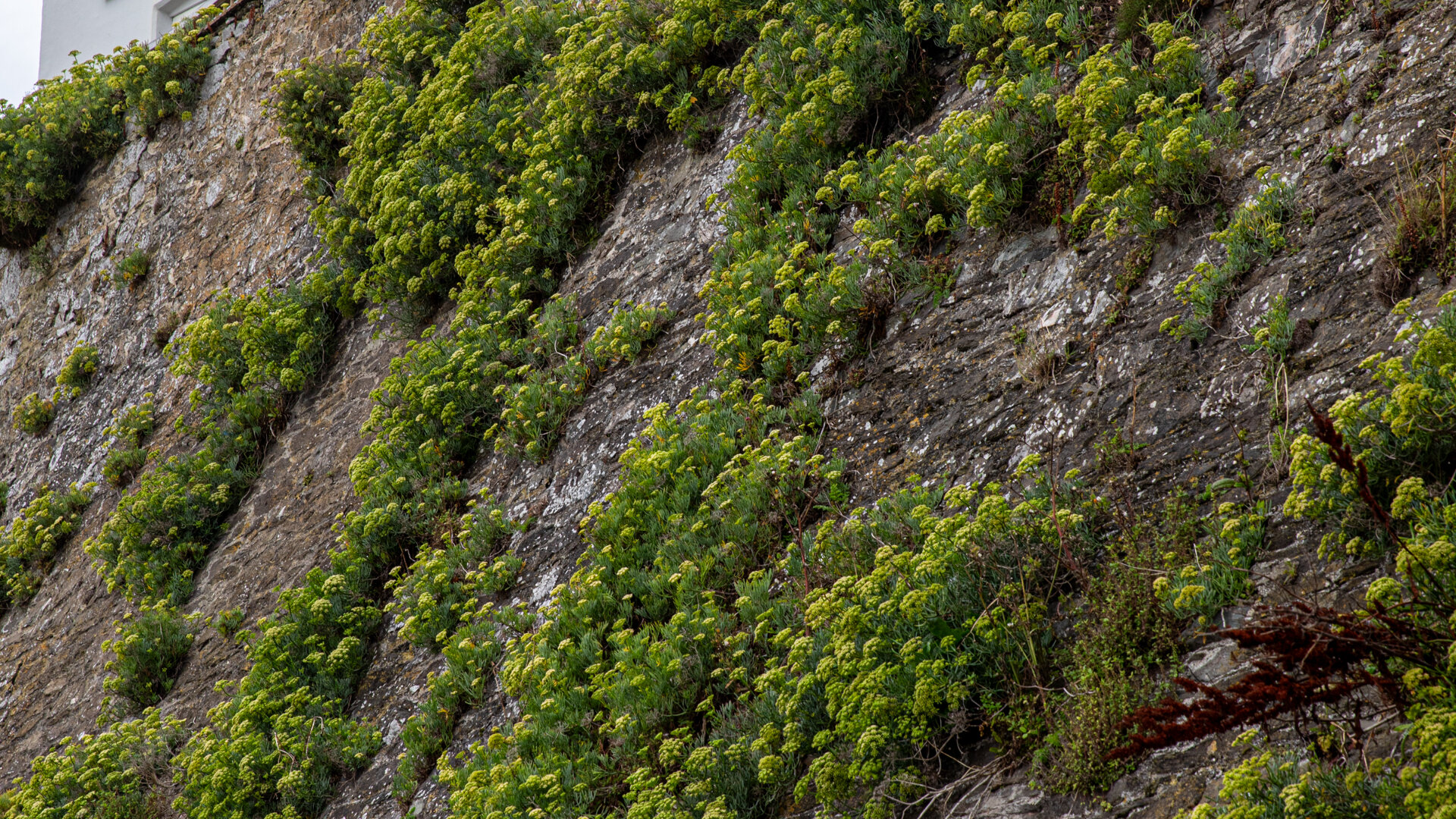 Images Inn On The Shore