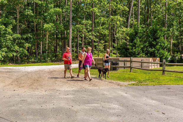 Images Pine Haven Campground