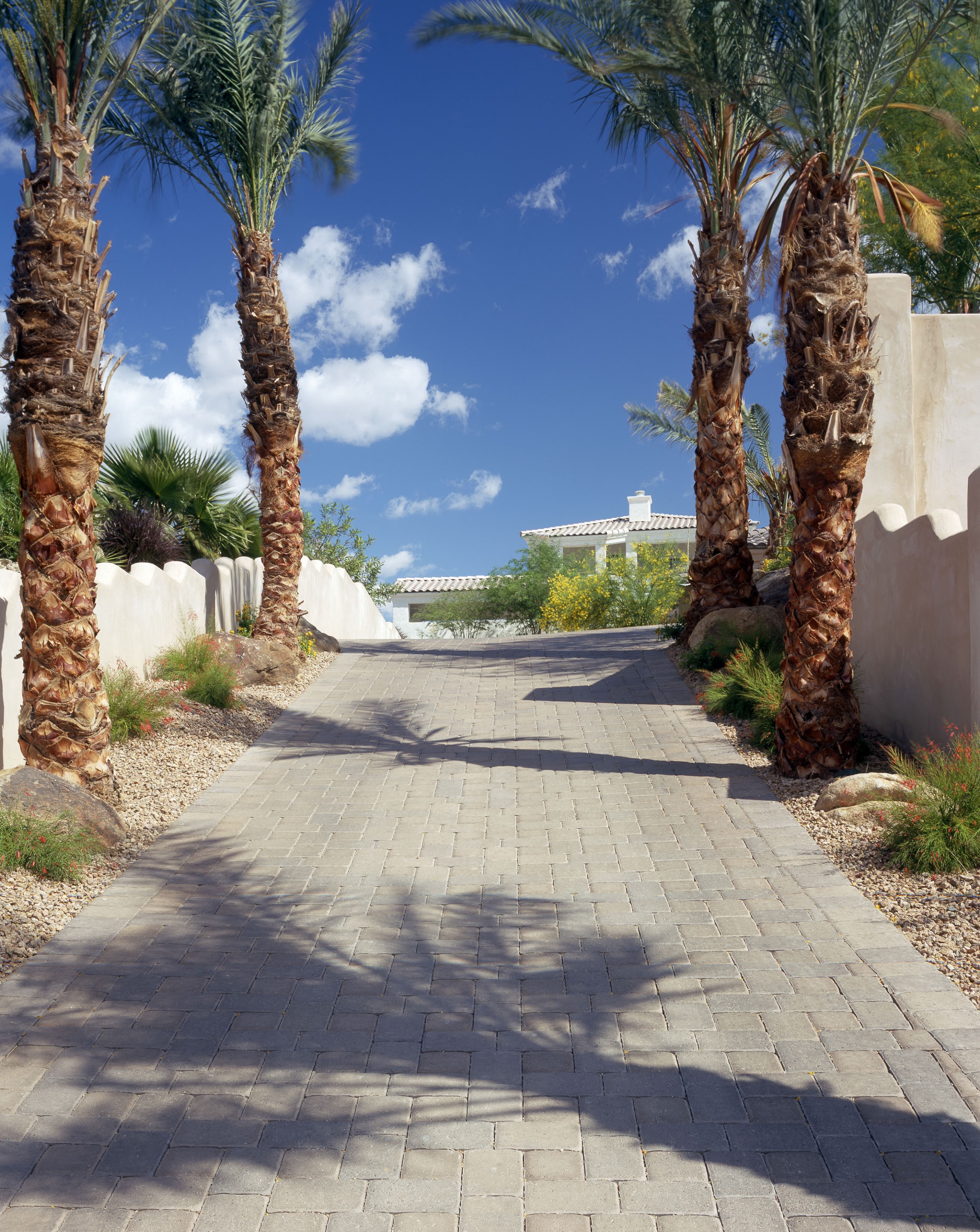 Sunlit paver driveway lined with tall palm trees and stucco walls, leading to a desert home beneath a vivid blue, cloud-dotted sky.
