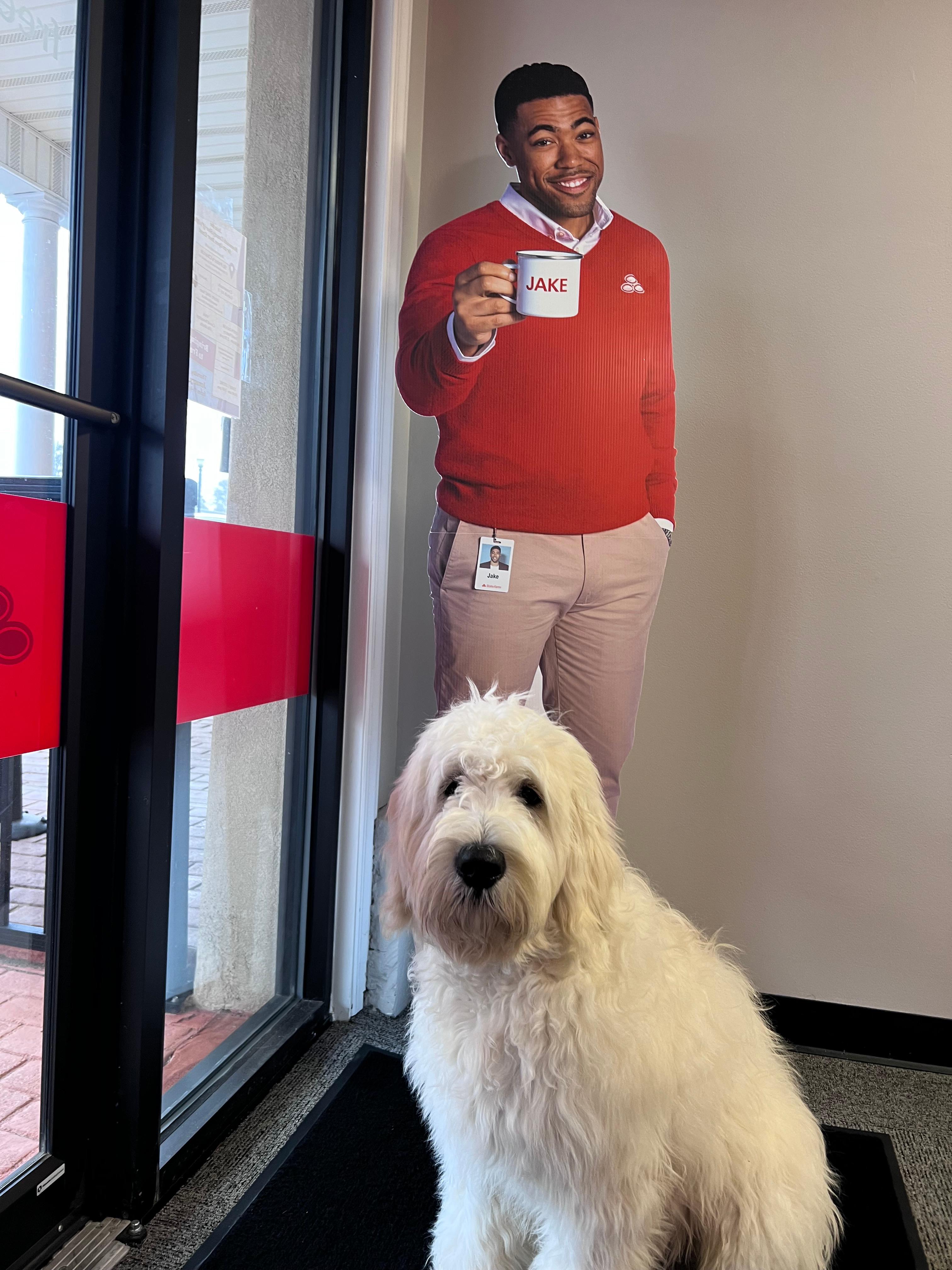 Maverick hanging out with Jake from State Farm!