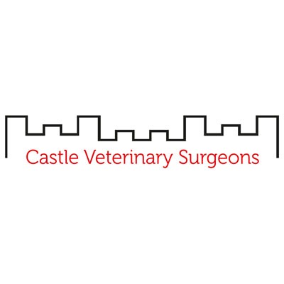 Castle Veterinary Surgeons - Barnard Castle Logo