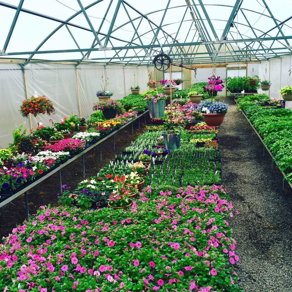 Bp Nursery and Landscape