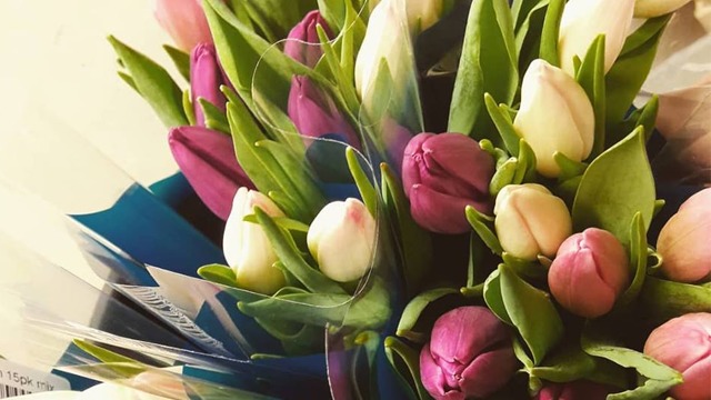 Images Florine Blomster