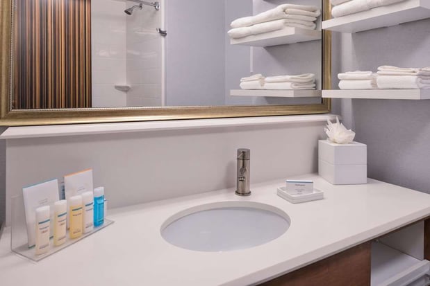 Images Hampton Inn & Suites Denver-Speer Boulevard