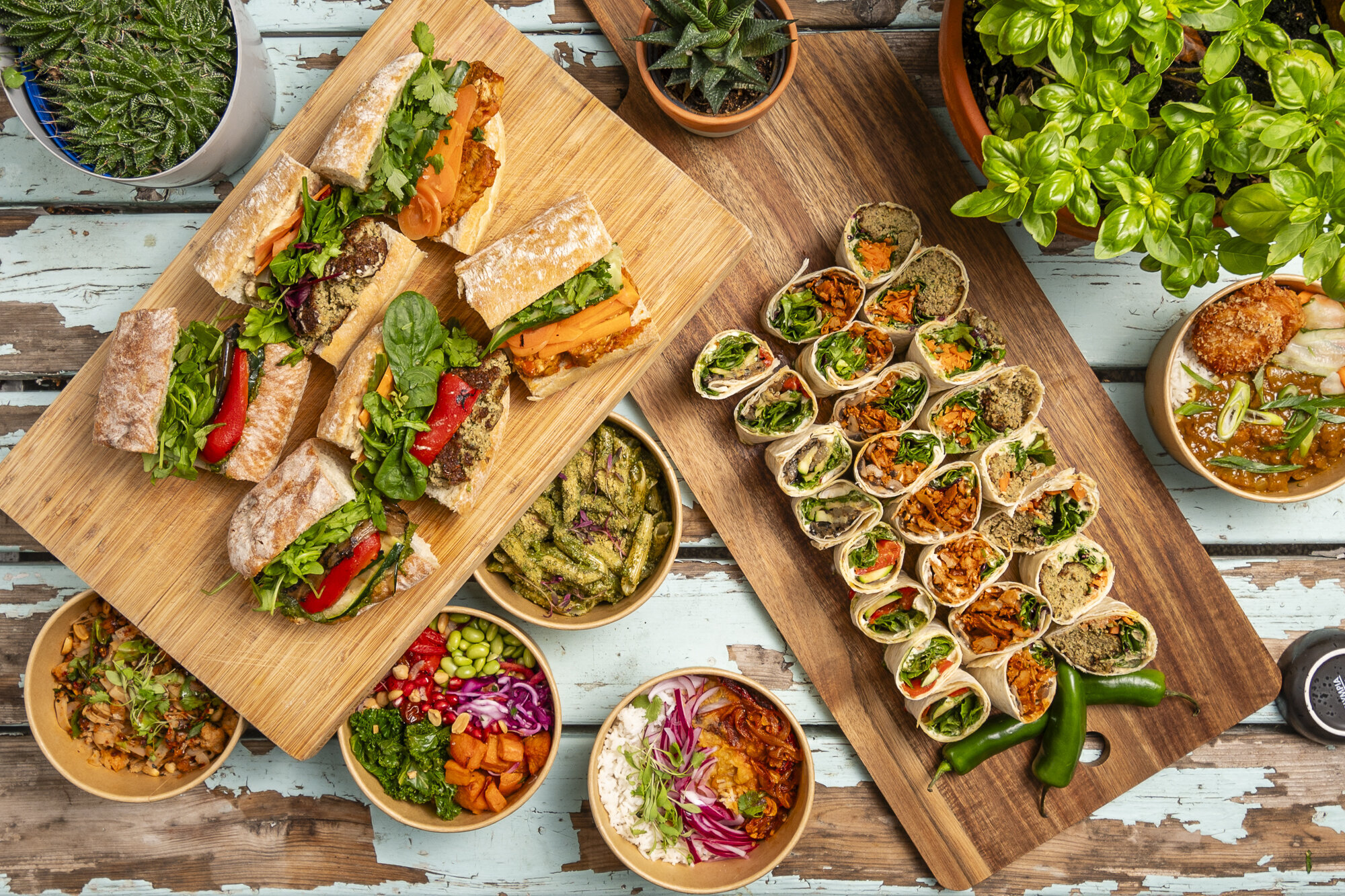 Images Feed the Village