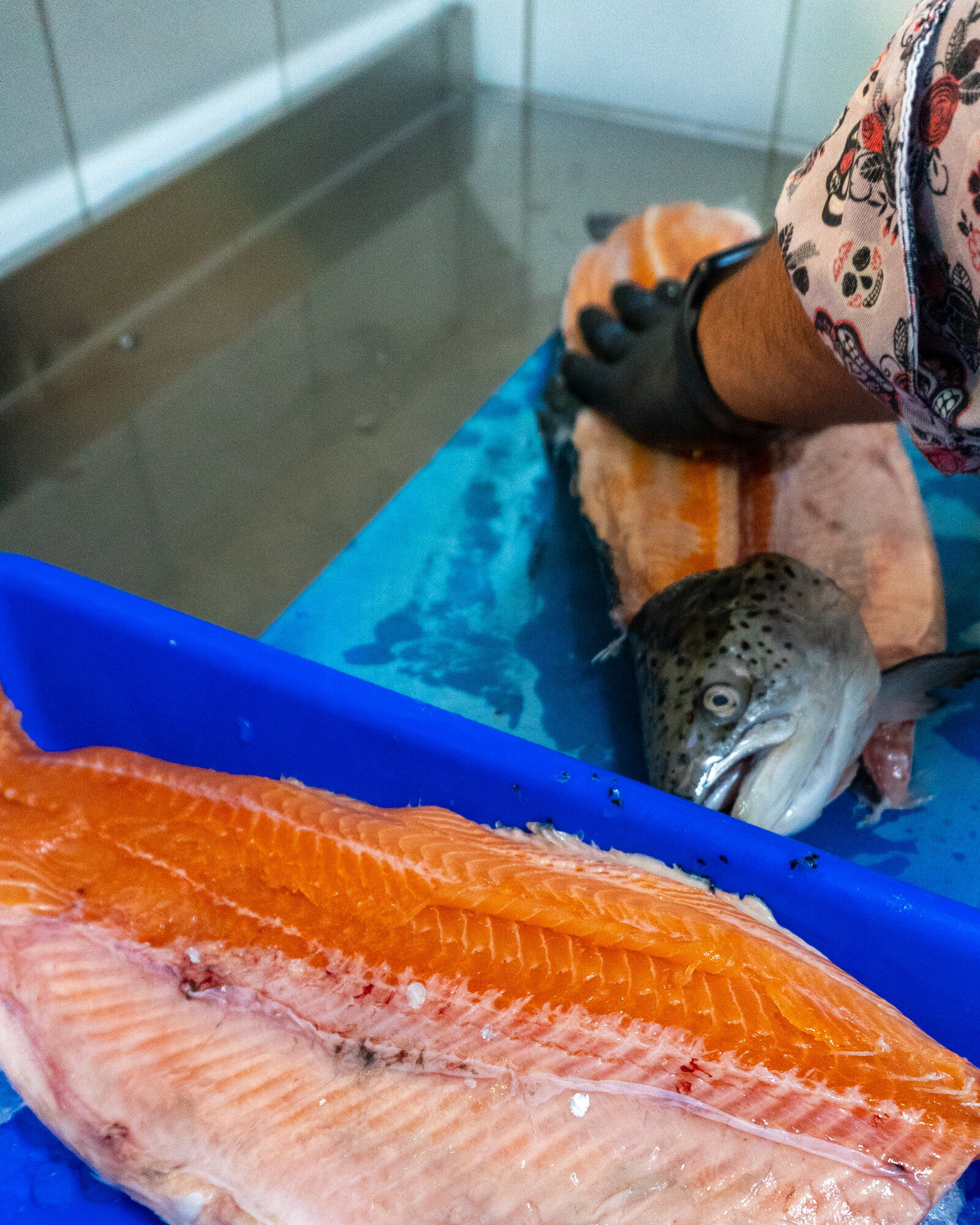 Images EL RINCON DE GUADALUPE   Cocina Tradicional Mexicana