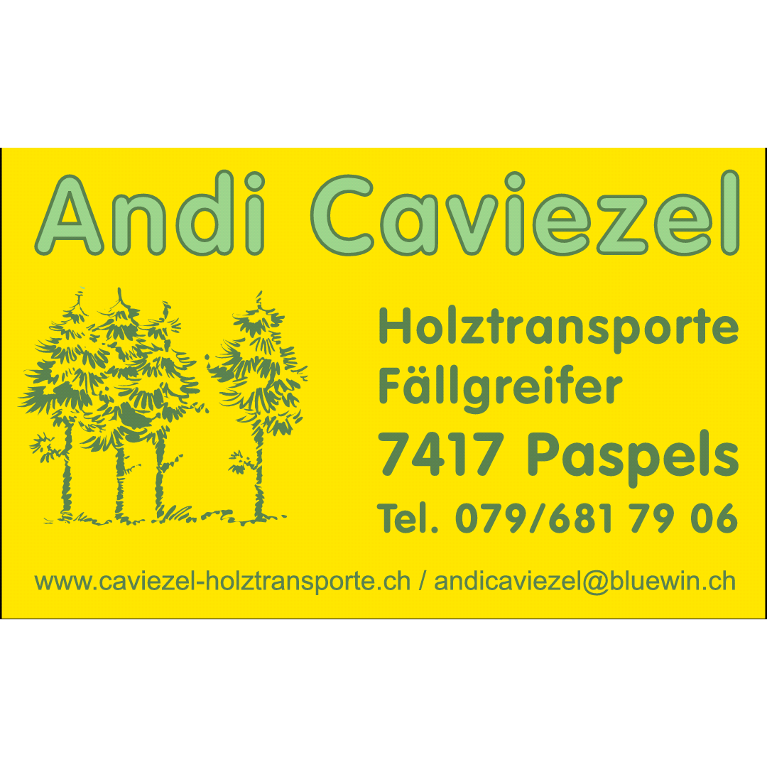 Caviezel Andi Logo
