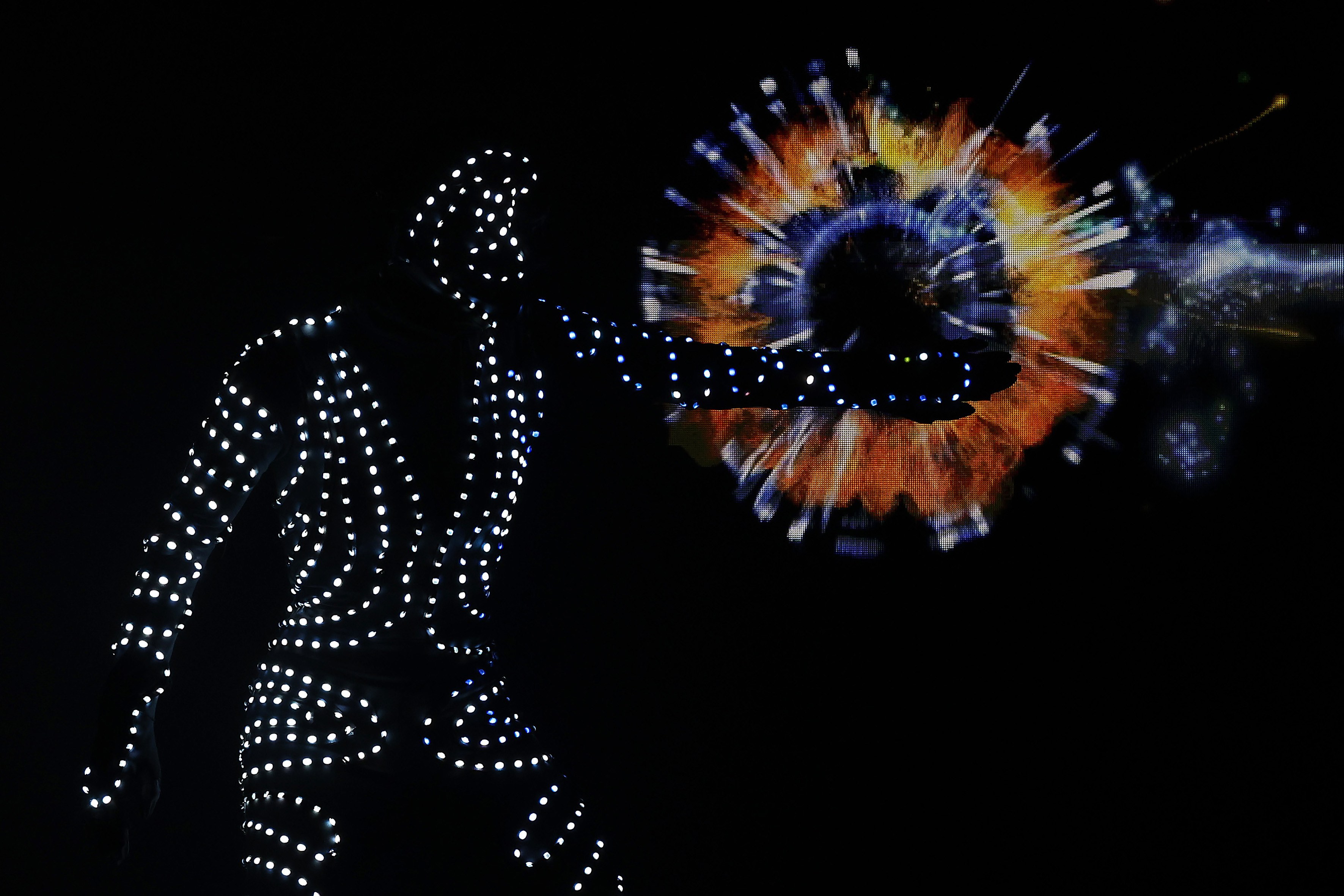 Lars Kaletta Fotografie, Tulpenweg 5 in Hannover