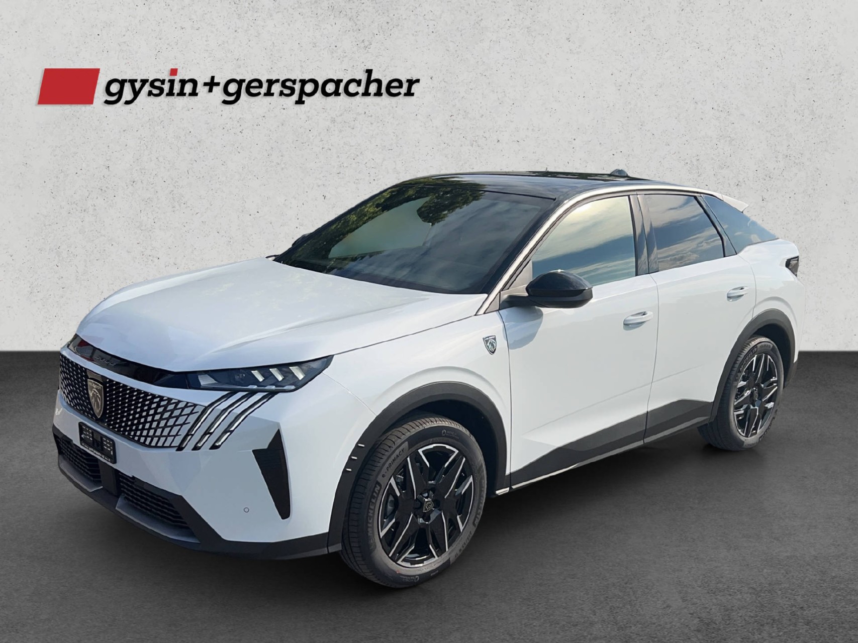 Bilder Gysin + Gerspacher AG