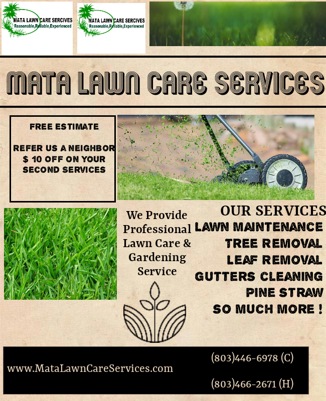 Juan Mata Lawn Care Services Photo