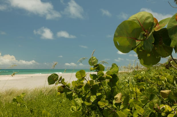 Images Jupiter Beach Resort & Spa