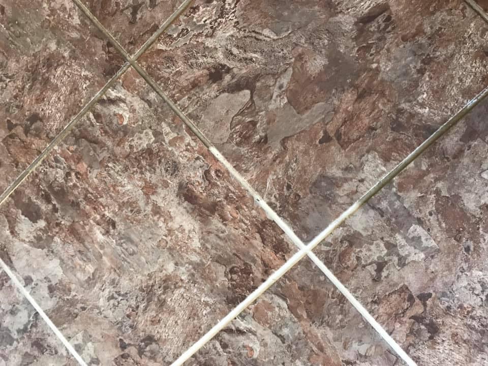 carpet cleaning companies near me