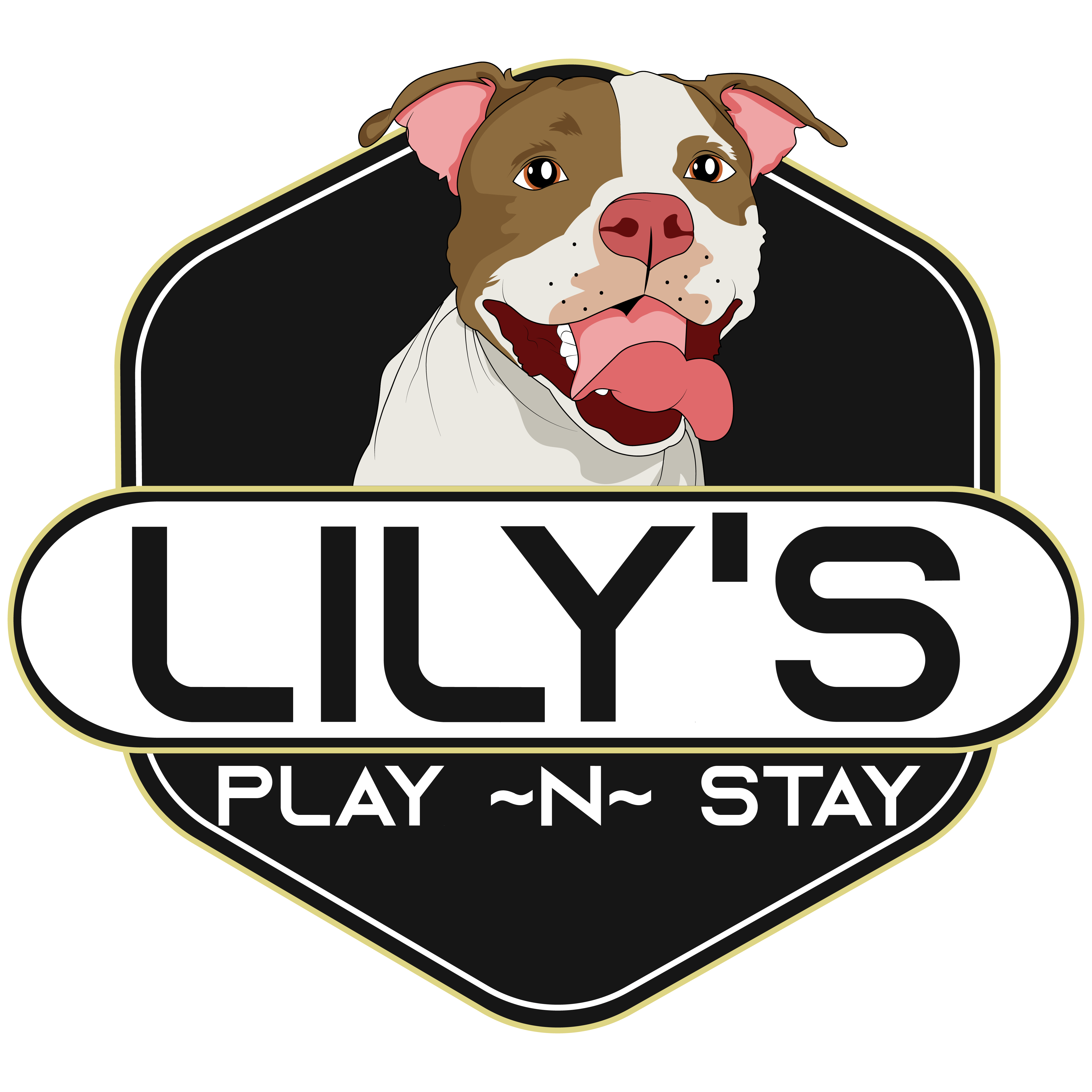 Lily's Play-N-Stay - Belton, MO 64012 - (816)388-3737 | ShowMeLocal.com