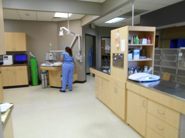 Images CityVet | Frisco