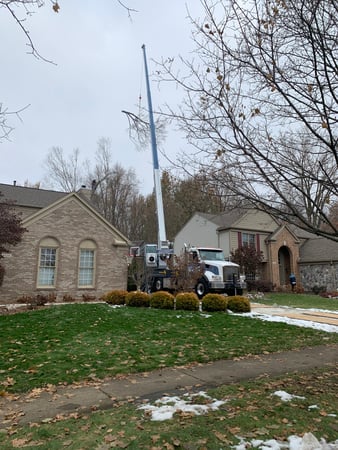 Images Spears Tree Experts Inc.