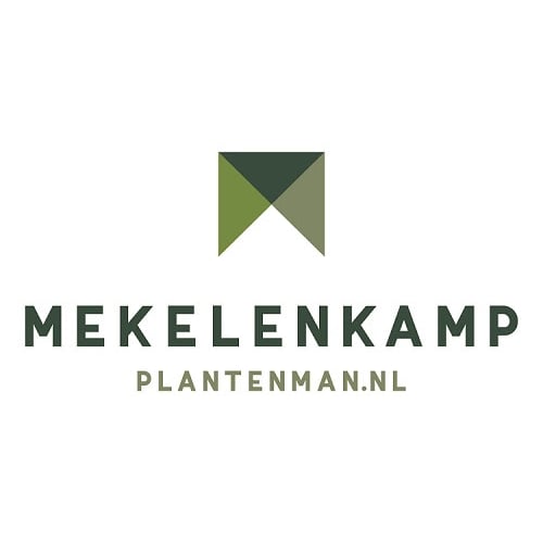 Mekelenkamp I plantenman.nl - Interieurbeplanting Logo