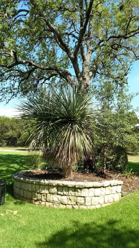 Tru Cut Landscapes Image