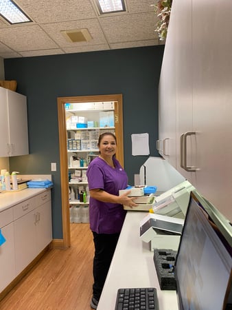 Images All About Teeth