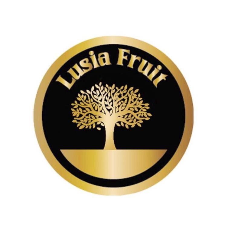 Lusia Fruit S.L. Logo