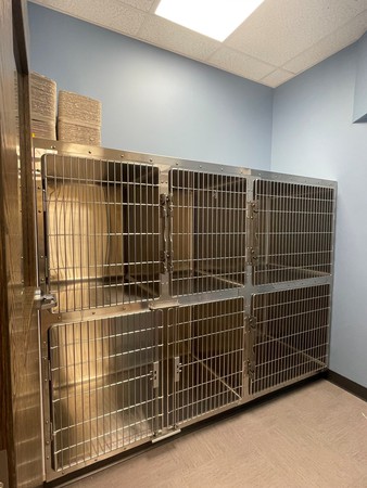 Images Pets First Veterinary Clinic