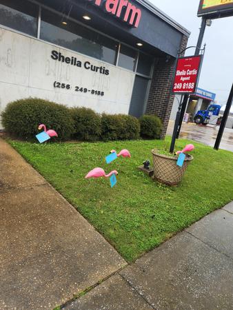 Images Sheila Curtis - State Farm Insurance Agent