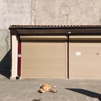Images All Option Doors