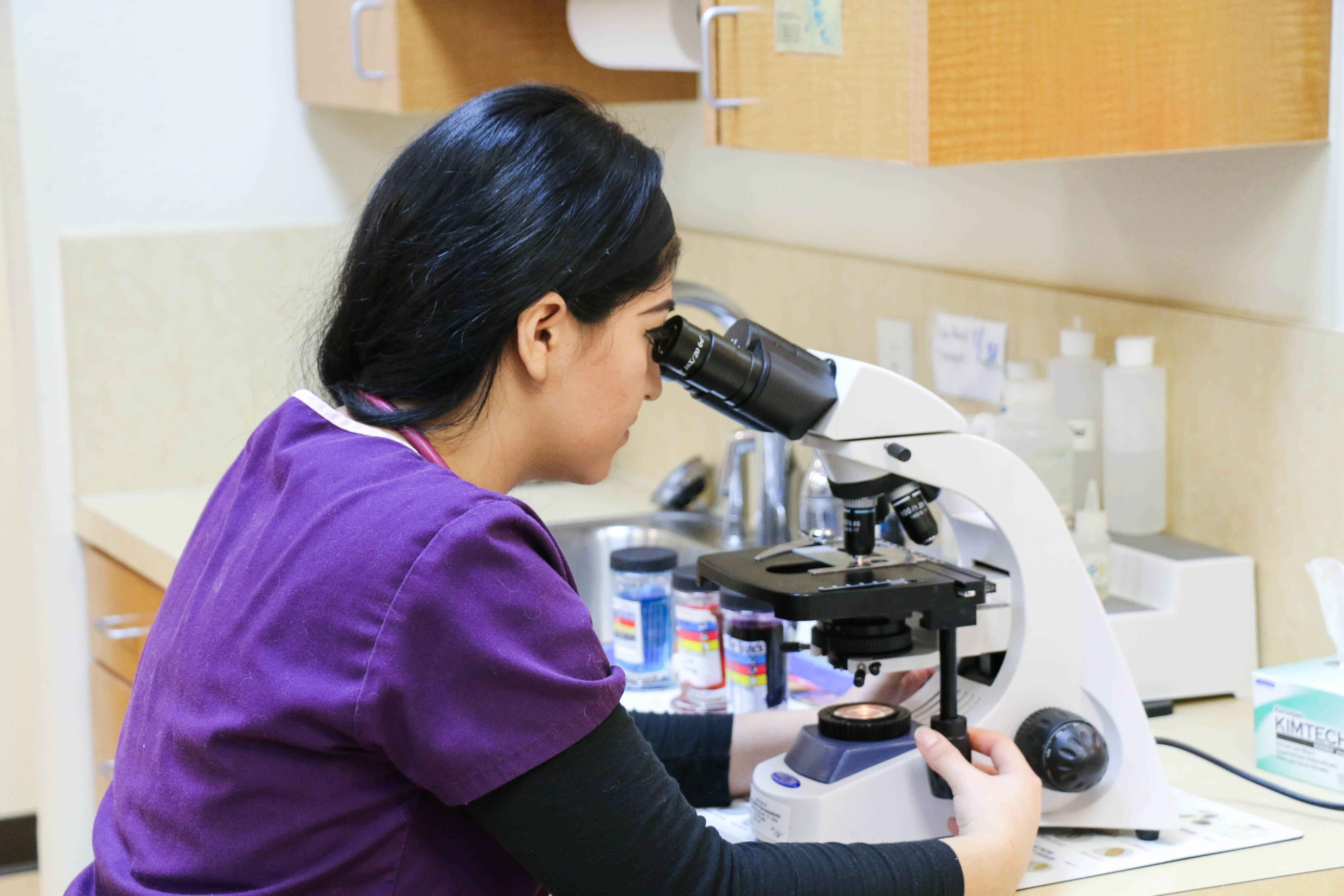 A veterinary technician examines a sample using a microscope in our convenient, fully equipped in-house lab. We are able to perform urinalysis, parasite testing, fungal cultures, blood work, and much more.