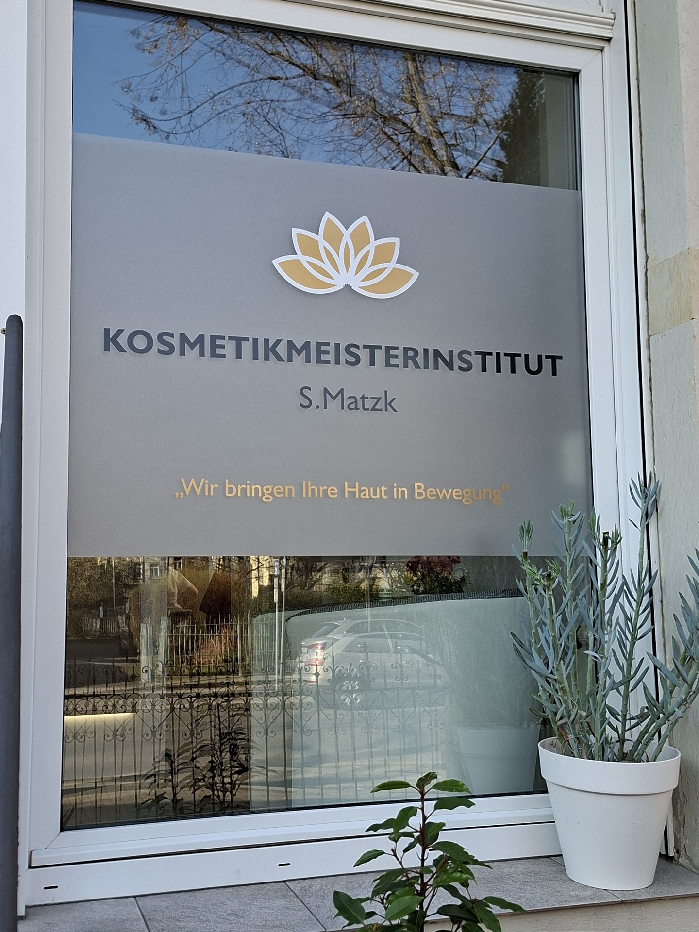 Kosmetikmeisterinstitut S.Matzk, Bergmannstr. 6 in Dresden