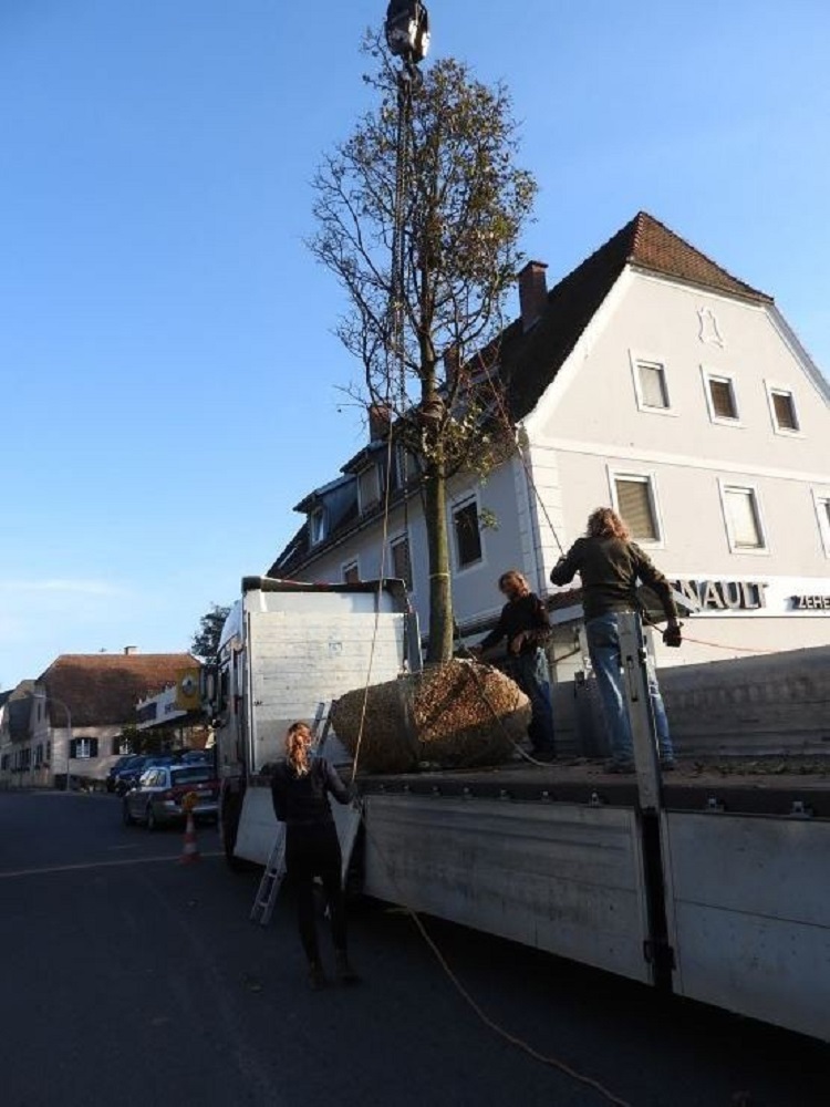 GRÜN-ER-LEBEN, Stang bei Hatzendorf 10 in Fehring