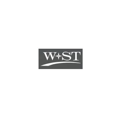 Logo W + ST Steuerberatungsgesellschaft mbH
