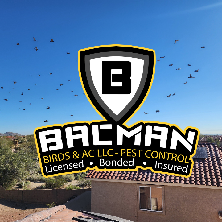 Images Bacman Pest Control & Pigeon Removal