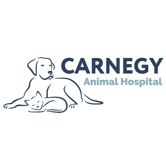 Carnegy Animal Hospital
