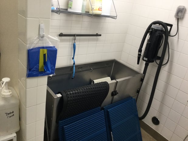 Images Petco Grooming